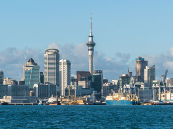 sugar daddy meet new zealand